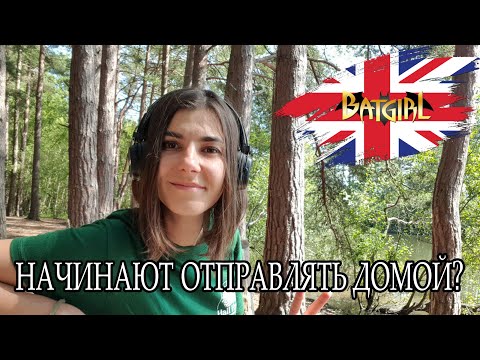 Не делаешь норму? Отправляют домой! Ужесточение правил работы на ферме в Англии