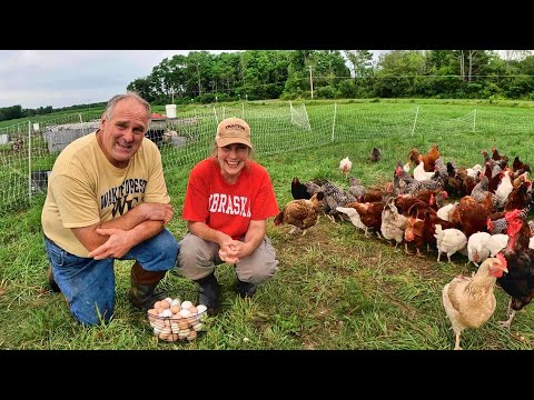 Getting Back to Work: Good News in Action on the Farm