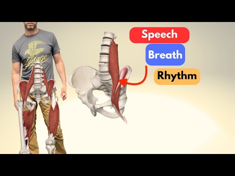 Top 3 Ways to Release a Psoas: No Stretches or Gym Exercises Needed