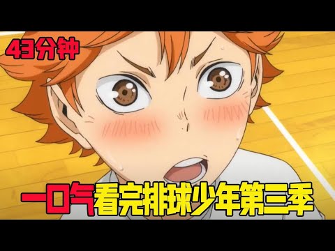 40分钟一口气看完排球少年第三季！这就是日本最强的排球选手牛岛若利！怪人组合陷入苦战