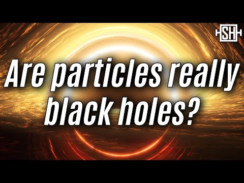 Einstein’s Other Theory of Everything