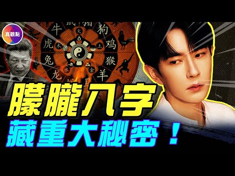 喬任梁張國榮秘密曝光！于朦朧與習近平的關聯是？#真飛 #真觀點