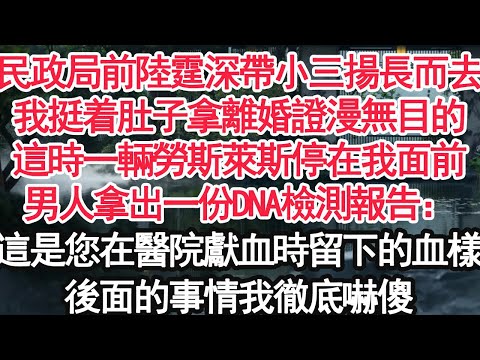 民政局前陸霆深帶小三揚長而去，我挺着肚子拿離婚證漫無目的，這時一輛勞斯萊斯停在我面前，男人拿出一份DNA檢測報告："這是您在醫院獻血時留下的血樣"後面的事情我徹底嚇傻【顧亞男】【大女主】【婚姻自主】