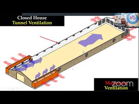 التهوية اخطر مشاكل قطعان الدواجن .. الطرق الحديثة لتوفير تهوية نموذجية لعنابر الدواجن