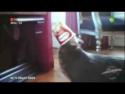 De TV DRAAIT DOOR volgens KaasKopTV aflevering 12 (2012)