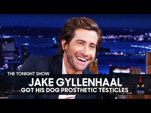 Jake Gyllenhaal's Dog Has Fake Balls | The Tonight Show Starring Jimmy Fallon
