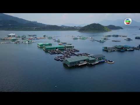 新聞透視 - 現代漁民