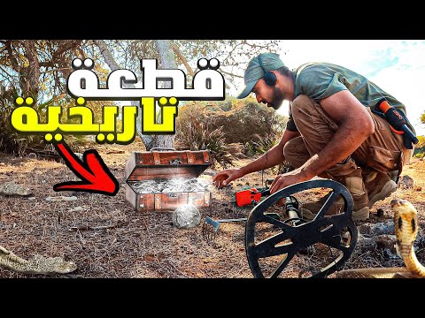 👈 Catching a giant sole fish 👈 Rare jungle discovery 💰😃💍