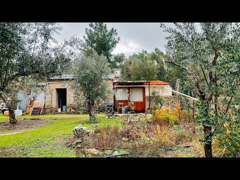 Quiet Winter Work on Our Off-Grid Homestead