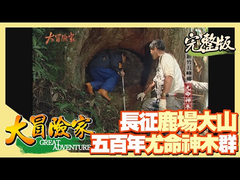 【大冒險家】新竹白蘭部落 長征鹿場大山（出草習俗獵人頭／尤命神木群） │2003.07.07│ 183集完整版