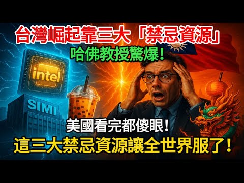 哈佛教授驚爆：台灣崛起靠三大禁忌資源！全球震撼　連美國都沒料到這招！