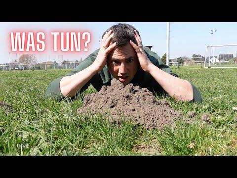 Driving away moles and voles | the big experiment