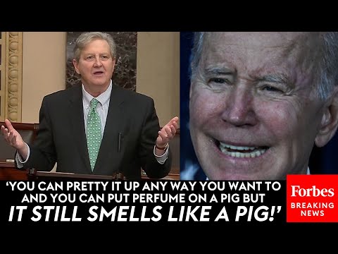 JUST IN: John Kennedy Delivers Epic Takedown Of Biden For 'Bailout' Of Silicon Valley Bank