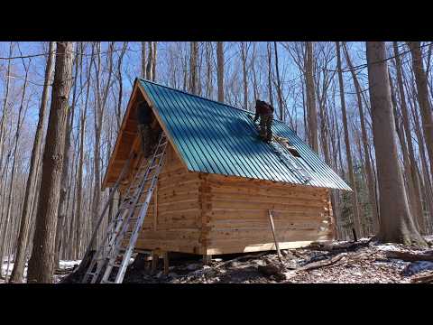 How They Built a Cozy Forest Home Step by Step — The Full Process Revealed!