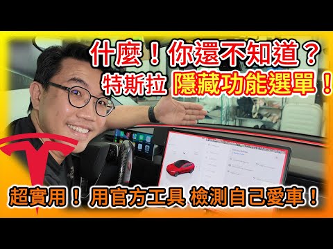 什麼！你還不知道？99%車主沒打開過！特斯拉隱藏維修模式解密 / 用官方檢測電池的健康度 過保前必看！Tesla Service Mode!