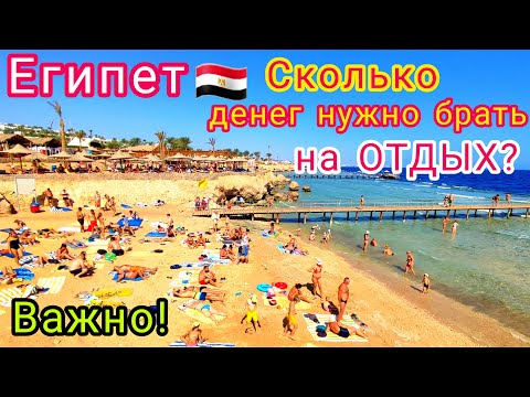 EGYPT 🇪🇬 Important❗️ HOW MUCH MONEY SHOULD you take on holiday to Egypt. Which currency is better?