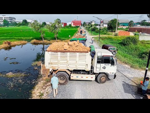 Lets Watch! Start Project LANDFILL By Expert Skill Driver 5T Trucks Unload soil &Dozer Pushing clear