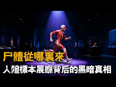 驚悚！人體標本展廳背後的黑暗真相：屍體從哪裡來？馮·哈根斯帝國崩壞內幕 #生物塑化 #人體世界展覽 #馮哈根斯 #生命倫理 #醫學與商業 #屍體標本爭議