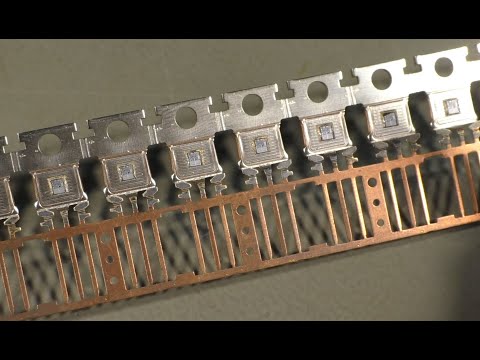 A bag full of chips! (PWJ229)