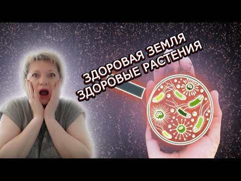 ЗДОРОВАЯ ЗЕМЛЯ, ЗДОРОВЫЕ РАСТЕНИЯ| КАК ОБЕЗЗАРАЗИТЬ ЗЕМЛЮ