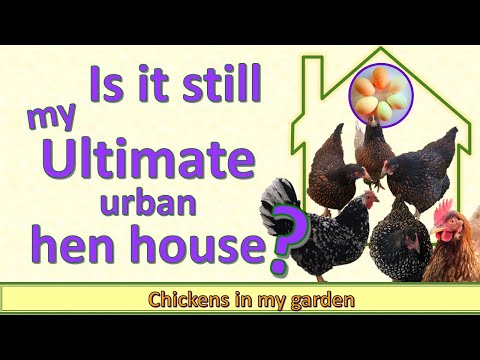 Is my Ultimate Hen House design still the BEST? (for me)
