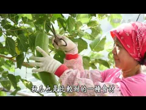 【農夫與他的田】20151102 - 軟橋的友善小農