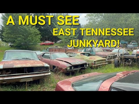 Amazing East Tennessee junkyard! Incredible finds all for sale!