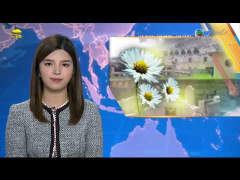 香港無綫︱2026年04月05日︱普通話4:15新聞｜TVB News