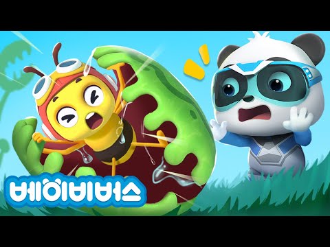 꿀벌이 갇혔다 | 파리지옥이다 ! | 벌레잡이식물 | 키키묘묘 구조대 출동! | 베이비버스 인기동요 | BabyBus