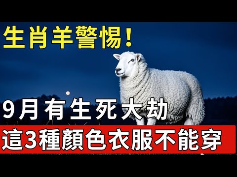 生肖羊警惕！你9月有生死大劫？這3種顏色衣服不能穿！特別是第2種！【福運生肖】#生肖 #運勢 #風水 #財運#命理#人生感悟