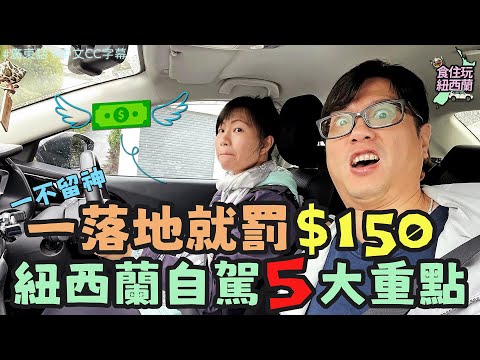 紐西蘭自駕遊 | 小心！香港10年牌都中伏，一落地就硬食$150罰款！5大駕駛規矩／注意事項，遊客必睇！#紐西蘭旅行 #紐西蘭自由行 #紐西蘭 #紐西蘭旅遊貼士