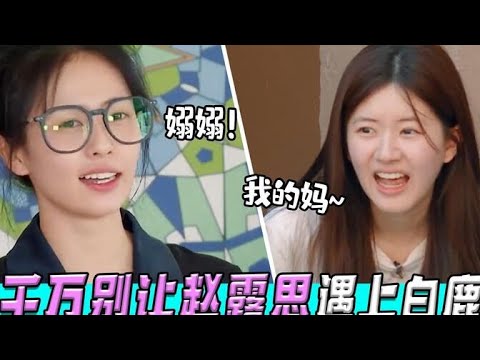 千万别让赵露思遇上白鹿！搞笑女凑一窝！俩“活宝”承包了节目组整个笑点！#奔跑吧 ★爱豆星日常★