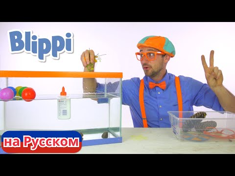 Утонет или всплывёт?| Блиппи на Русском | Изучай этот Мир вместе с Блиппи | Blippi