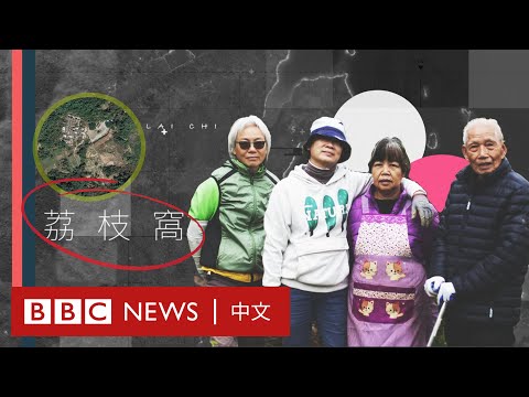 從英國到荔枝窩：回流移民復興香港農耕傳統文化的故事 － BBC News 中文