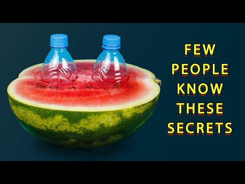 I Regret Not Learning These 24 Watermelon Ideas At Age 40