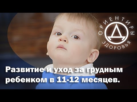 Развитие и уход за грудным ребенком в 11-12 месяцев.