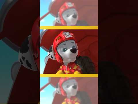 Marshall flies to the rescue! #shorts