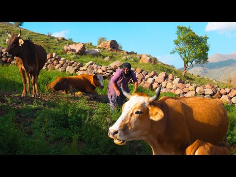 Four Seasons Highland and Mountain Life - Life in the Stone House