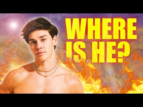 Noah Beck & the Aftermath of Virality