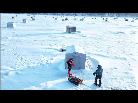 КТО ЖИВЕТ В ДОМАХ НА ЛЬДУ? рыбалка на рипуса