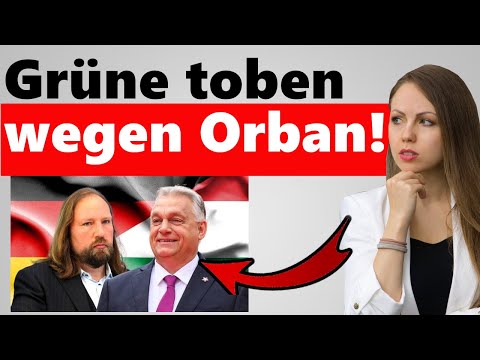 Deutsche Unternehmen lösen Wutausbruch bei Hofreiter aus!