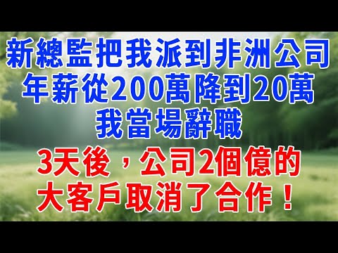 新總監把我派到非洲分公司，年薪從200萬降到20萬，我當場辭職，3天後，公司2個億的大客戶取消了合作！#人生感悟 #故事分享 #故事頻道 #打脸 #生活經驗 #原创视频