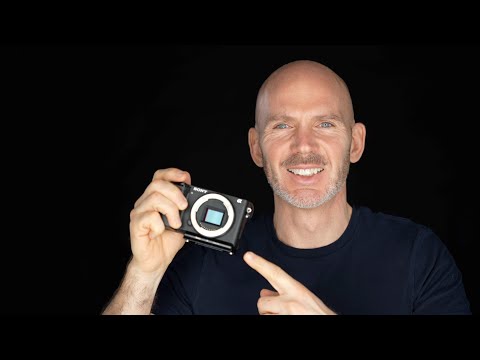 Canon R7 vs Sony Kamera mit gekrümmtem Sensor – wiesnernews