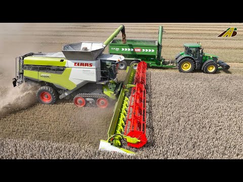 Wheat harvest 2025, new Claas Lexion 8800 combine harvester 45 feet header & tractors, agriculture