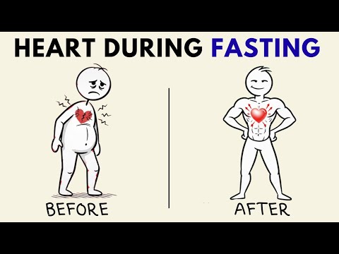 What Happens to Heart Health When You Use Intermittent Fasting Long Term (Science Explained)