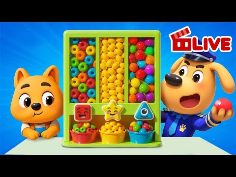 🔴 LIVE | おやつチャレンジ | アニメ | 動画 | Sheriff LabradorTV‐LIVE | ラブール警部