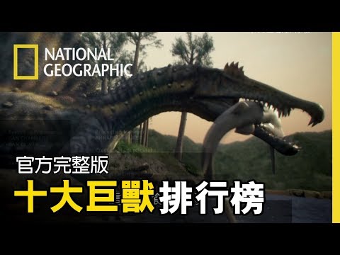 曾經稱霸陸海空的巨型動物再度現身，和飛機一樣大的巨鳥、2.5層樓高的巨龍…，到底哪隻巨獸能摘下排行榜冠軍? 【十大巨獸排行榜】官方完整版  免費觀看