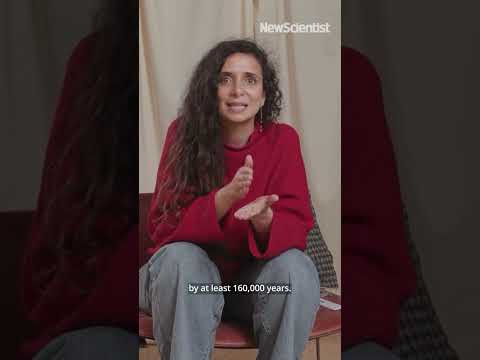 Did Homo naledi bury their dead?