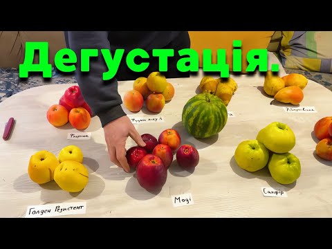Не купуйте ці яблука взимку, поки не подивитесь це відео!🍎