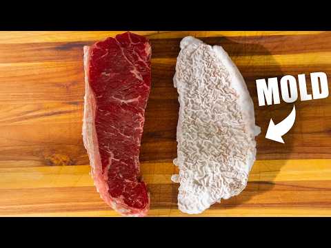 I Grew MOLD on Meat -- Here’s Why I’d Do It Again